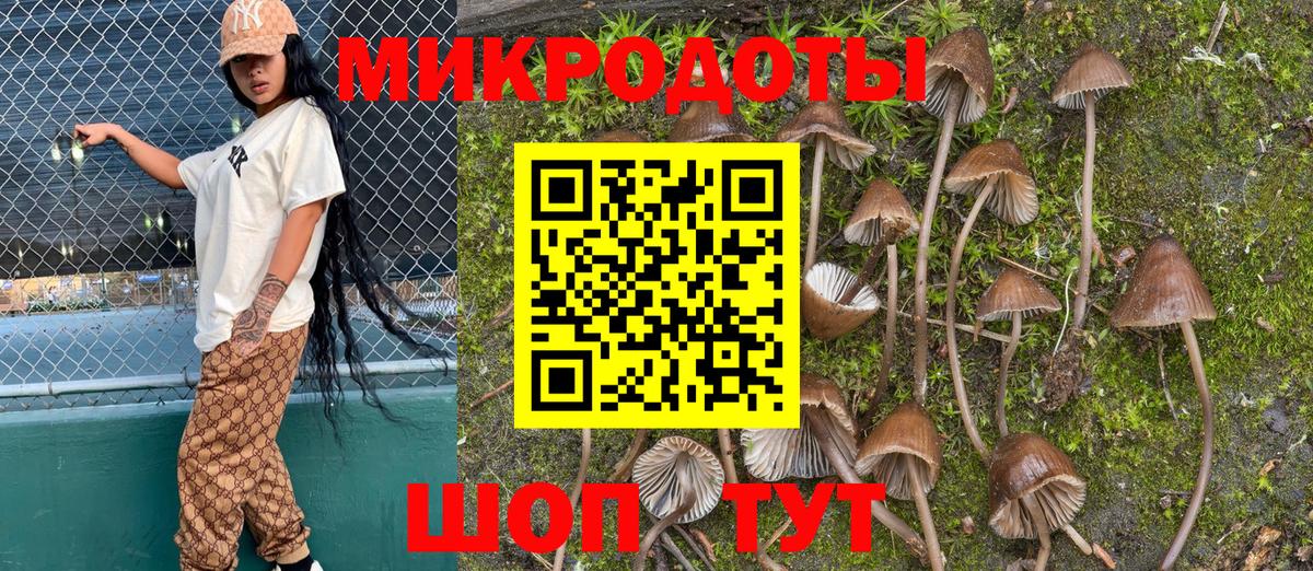 Псилоцибиновые грибы ЛСД Можга